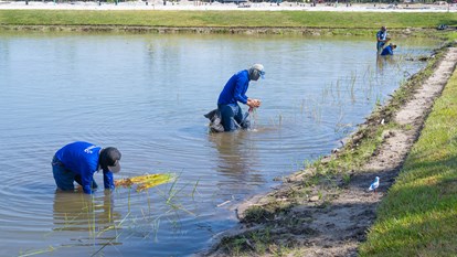 Littoral Planting Workers 45