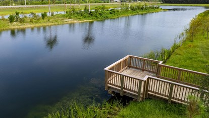 Creating Bird Rookeries 2